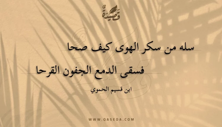 قصيدة سله من سكر الهوى كيف صحا
