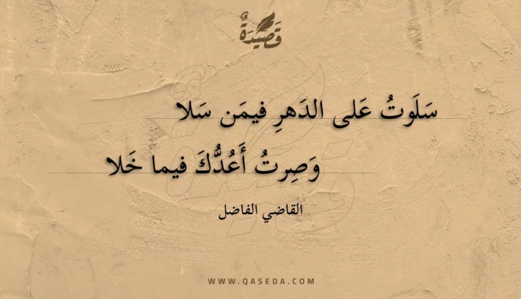 قصيدة سلوت على الدهر فيمن سلا