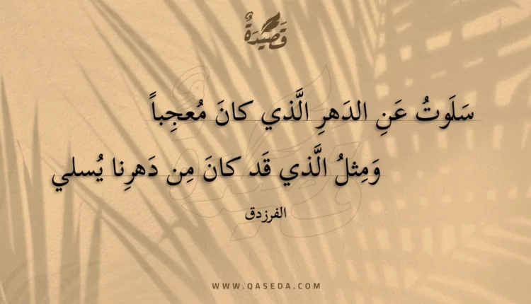 قصيدة سلوت عن الدهر الذي كان معجبا