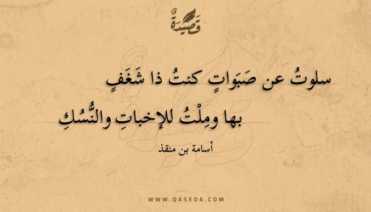 قصيدة سلوت عن صبوات كنت ذا شغف