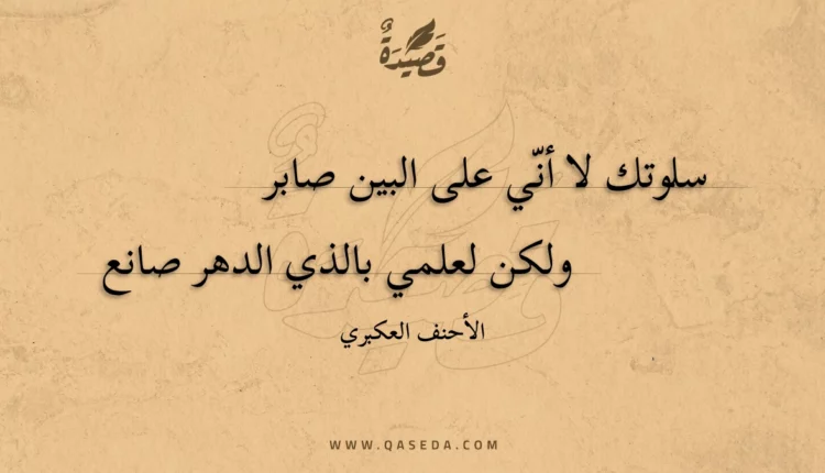 قصيدة سلوتك لا أني على البين صابر