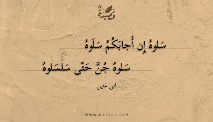 قصيدة سلوه إن أجابكم سلوه