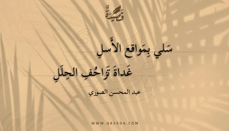 قصيدة سلي بمواقع الأسل