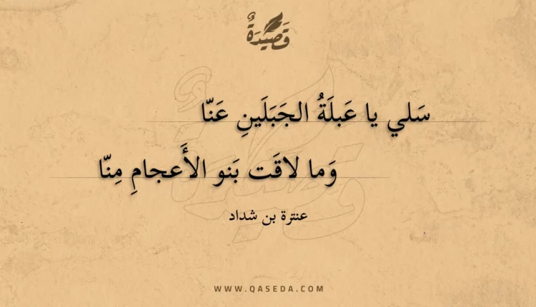 قصيدة سلي يا عبلة الجبلين عنا