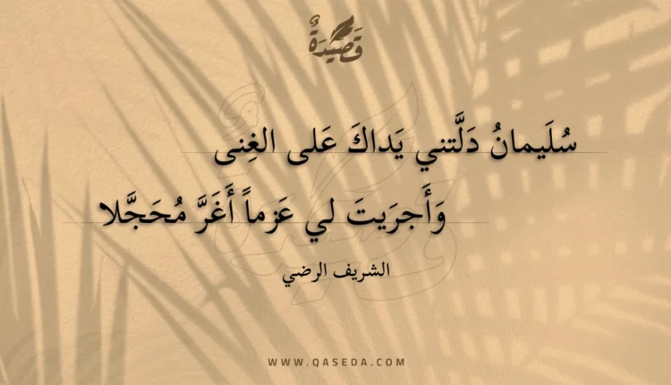 قصيدة سليمان دلتني يداك على الغنى