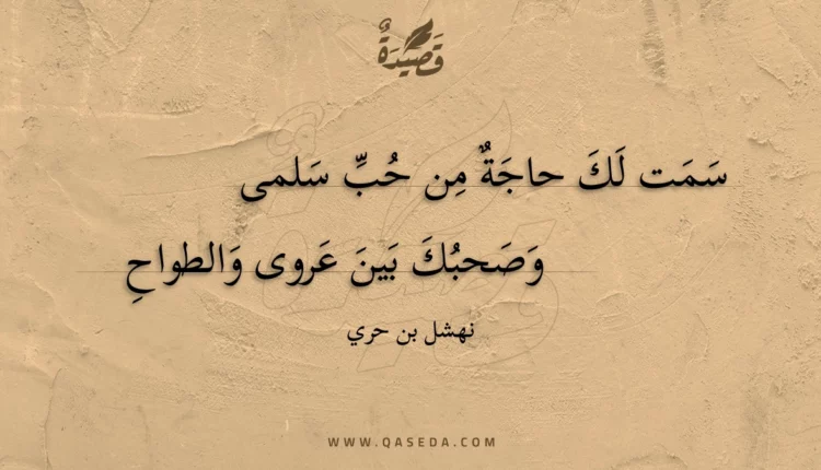 قصيدة سمت لك حاجة من حب سلمى