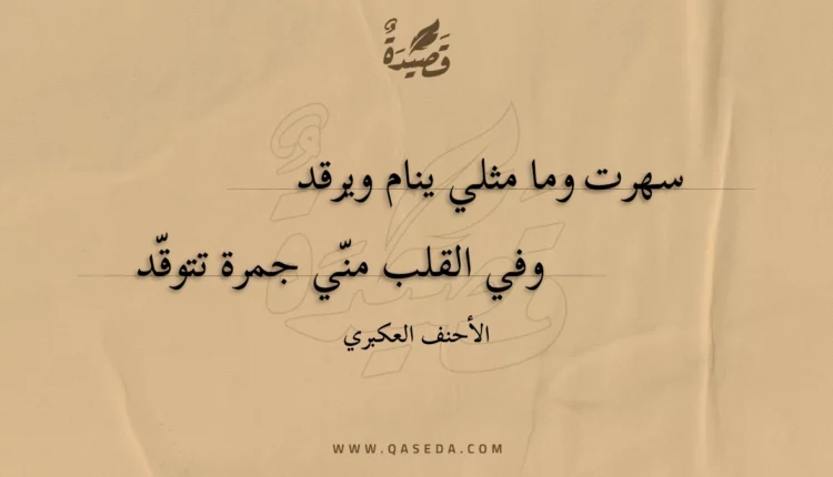 قصيدة سهرت وما مثلي ينام ويرقد