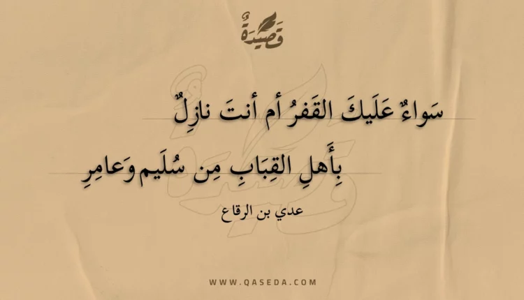 قصيدة سواء عليك القفر أم أنت نازل