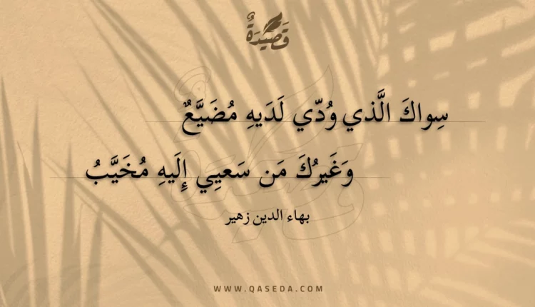 قصيدة سواك الذي ودي لديه مضيع