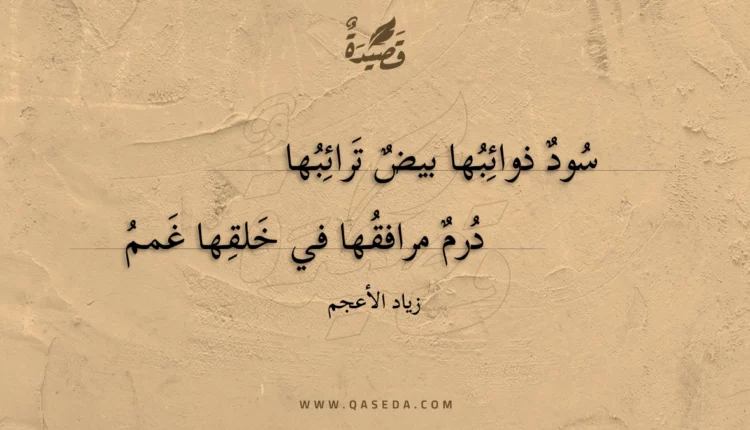 قصيدة سود ذوائبها بيض ترائبها