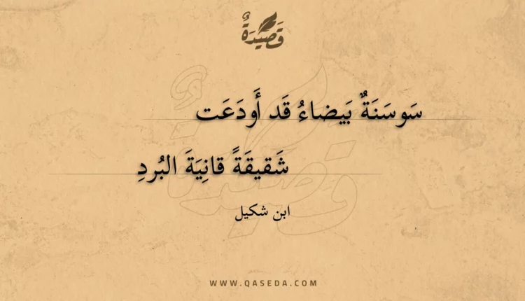 قصيدة سوسنة بيضاء قد أودعت