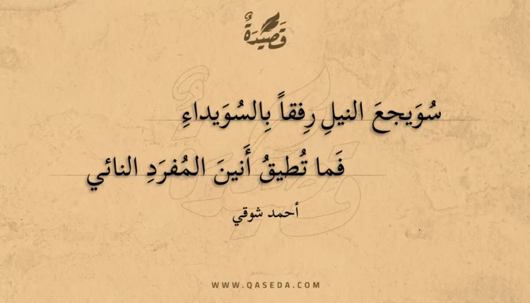 قصيدة سويجع النيل رفقا بالسويداء