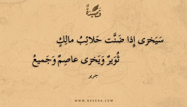قصيدة سيخزى إذا ضنت حلائب مالك