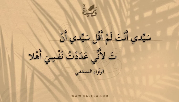 قصيدة سيدي أنت لم أقل سيدي أنت