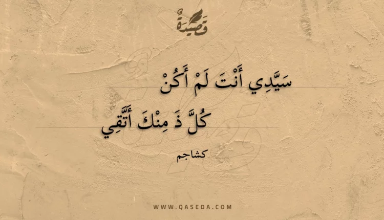 قصيدة سيدي أنت لم أكن