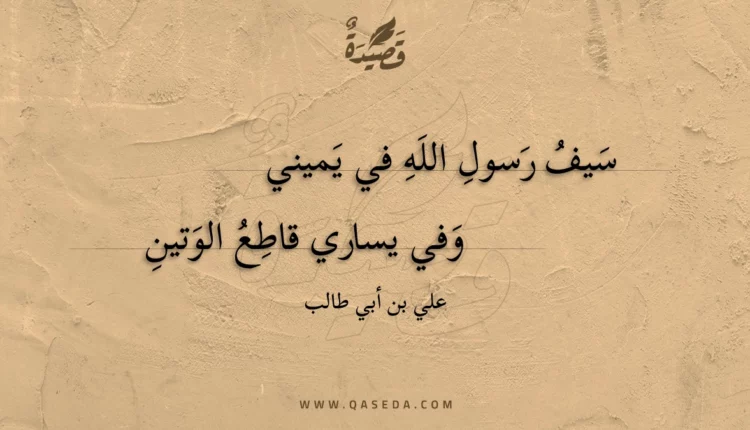 قصيدة سيف رسول الله في يميني