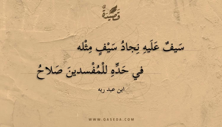 قصيدة سيف عليه نجاد سيف مثله