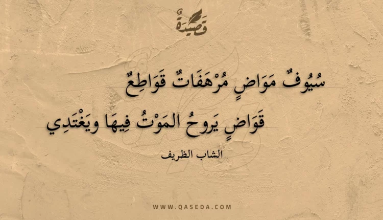 قصيدة سيوف مواض مرهفات قواطع