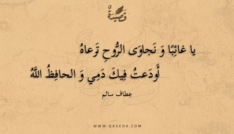 قصيدة سَلِّمْ عَلى الذِّكرى