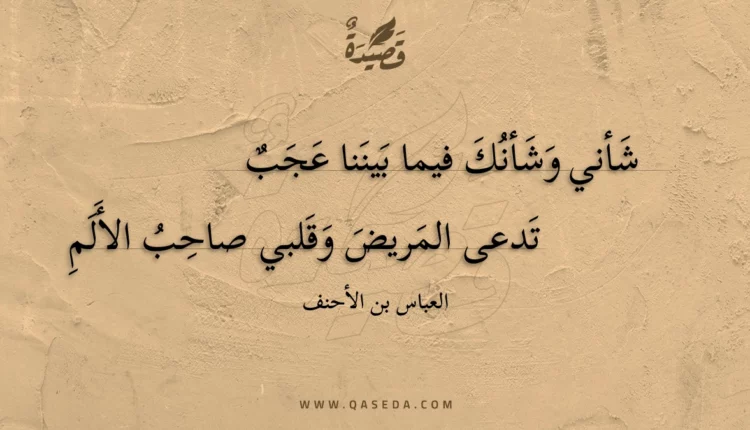 قصيدة شأني وشأنك فيما بيننا عجب