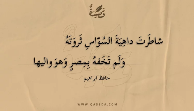 قصيدة شاطرت داهية السواس ثروته