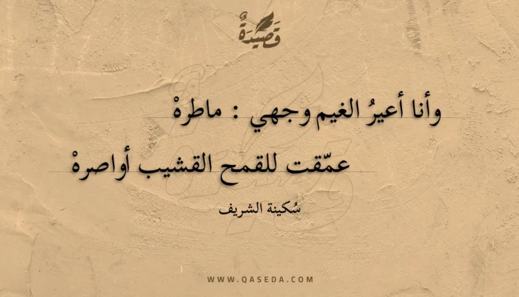 قصيدة شاعرة!