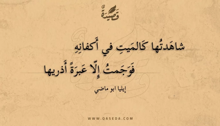 قصيدة شاهدتها كالميت في أكفانه