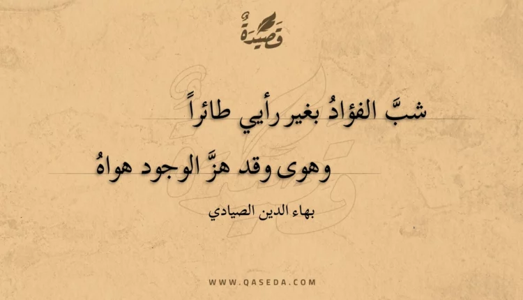 قصيدة شب الفؤاد بغير رأيي طائرا