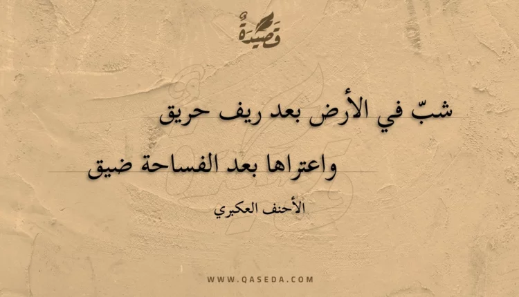 قصيدة شب في الأرض بعد ريف حريق