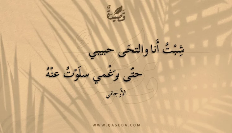 قصيدة شبت أنا والتحى حبيبي