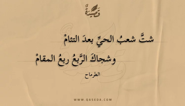 قصيدة شت شعب الحي بعد التئام