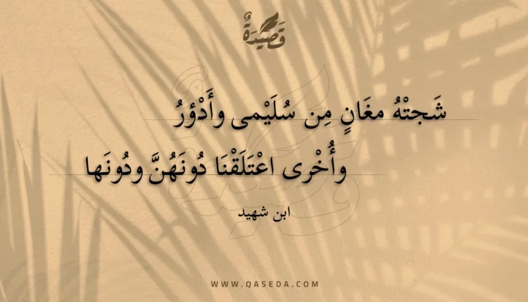 قصيدة شجته مغان من سليمى وأدؤر