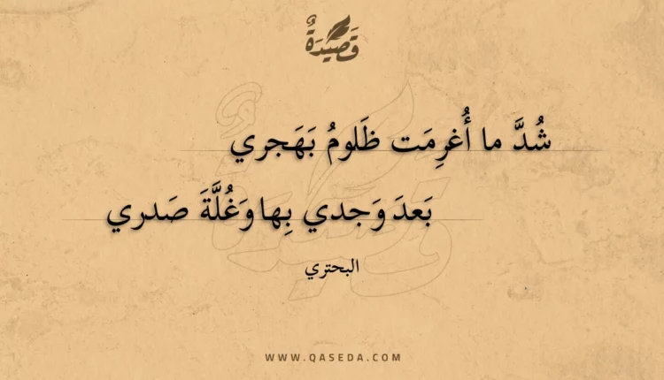قصيدة شد ما أغرمت ظلوم بهجري