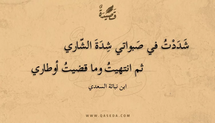قصيدة شددت في صبواتي شدة الشاري