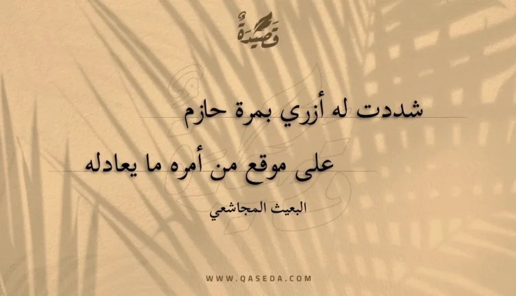 قصيدة شددت له أزري بمرة حازم