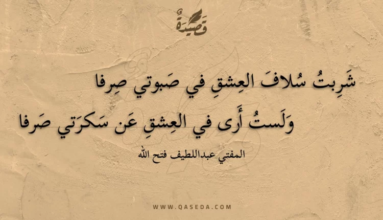 قصيدة شربت سلاف العشق في صبوتي صرفا