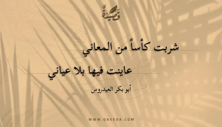قصيدة شربت كأسا من المعاني