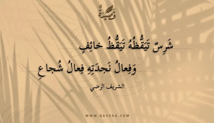 قصيدة شرس تيقظه تيقظ خائف