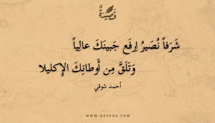 قصيدة شرفاً نصير ارفع جبينك عالياً