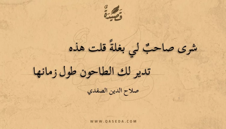 قصيدة شرى صاحب لي بغلة قلت هذه