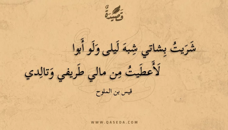 قصيدة شريت بشاتي شبه ليلى ولو أبوا