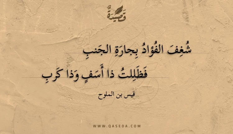 قصيدة شغف الفؤاد بجارة الجنب