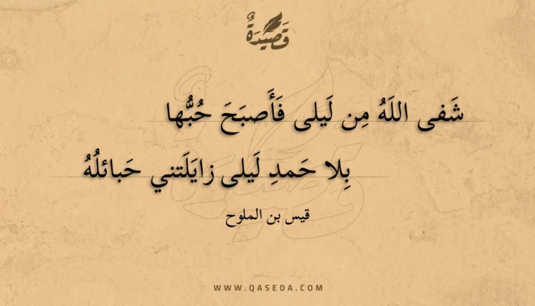 قصيدة شفى الله من ليلى فأصبح حبها
