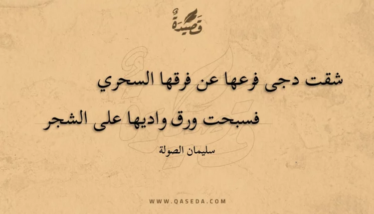 قصيدة شقت دجى فرعها عن فرقها السحري