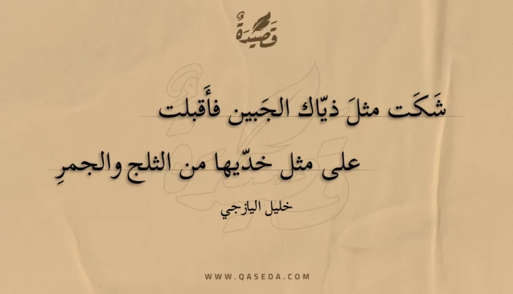 قصيدة شكت مثل ذياك الجبين فأقبلت