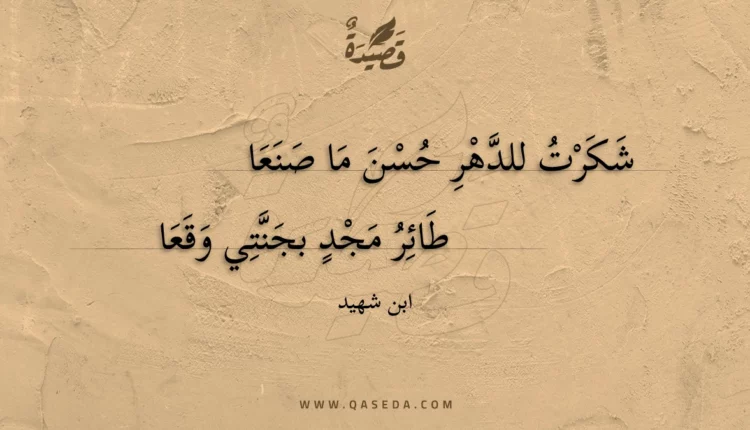 قصيدة شكرت للدهر حسن ما صنعا