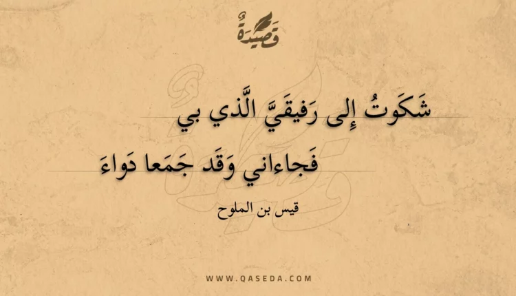 قصيدة شكوت إلى رفيقي الذي بي