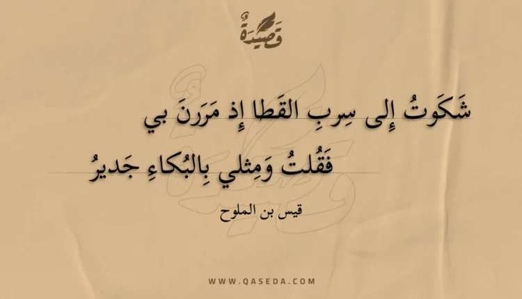 قصيدة شكوت إلى سرب القطا إذ مررن بي