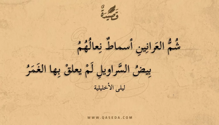 قصيدة شم العرانين أسماط نعالهم