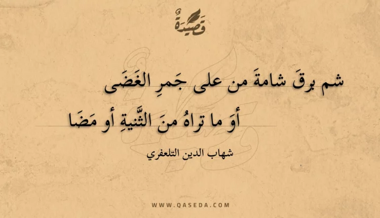قصيدة شم برق شامة من على جمر الغضى